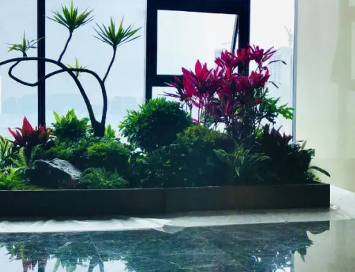 上海植物租赁哪家好